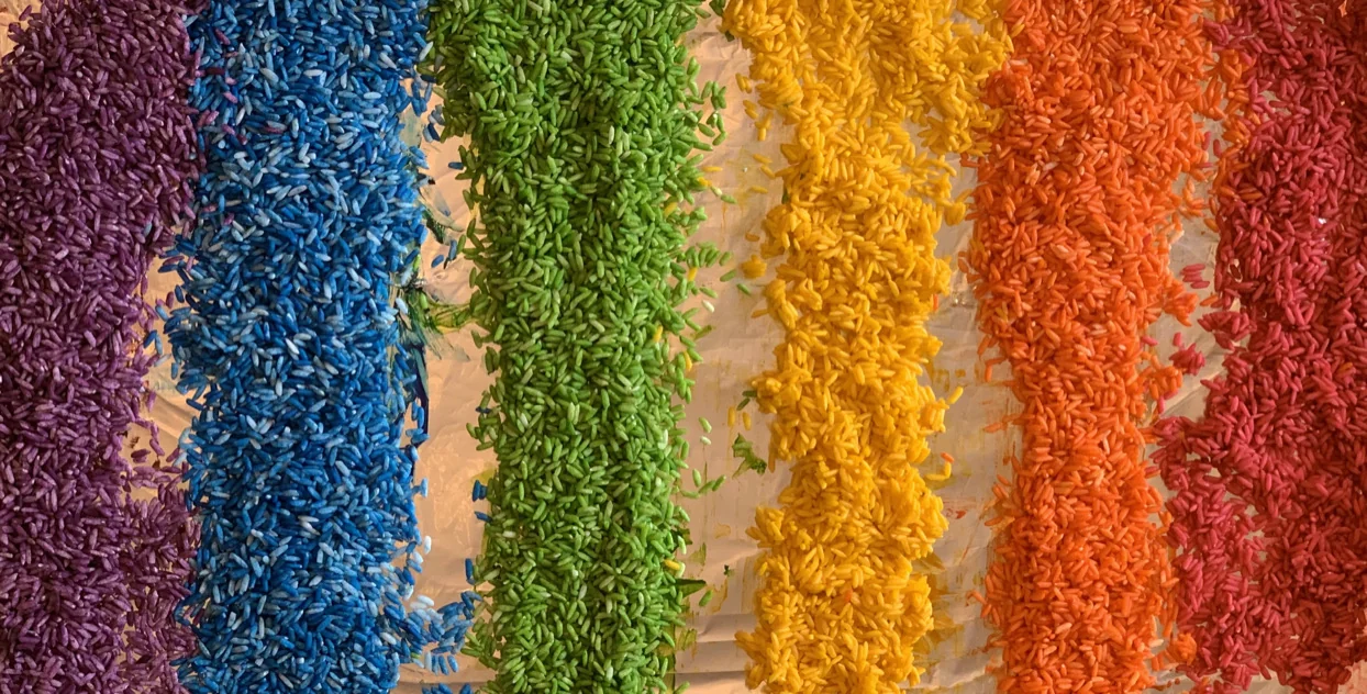 Close-up of six stripes of finished rainbow rice: purple, blue, green, yellow, orange, and red